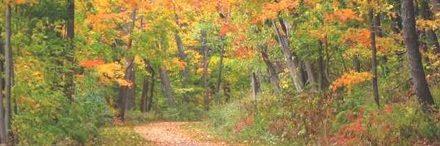 autumn