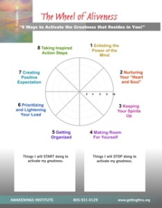 Wheel of Aliveness Coaching Tool