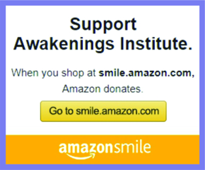 Support Awakenings Institute