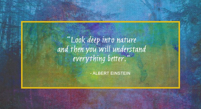 Einstein on Nature